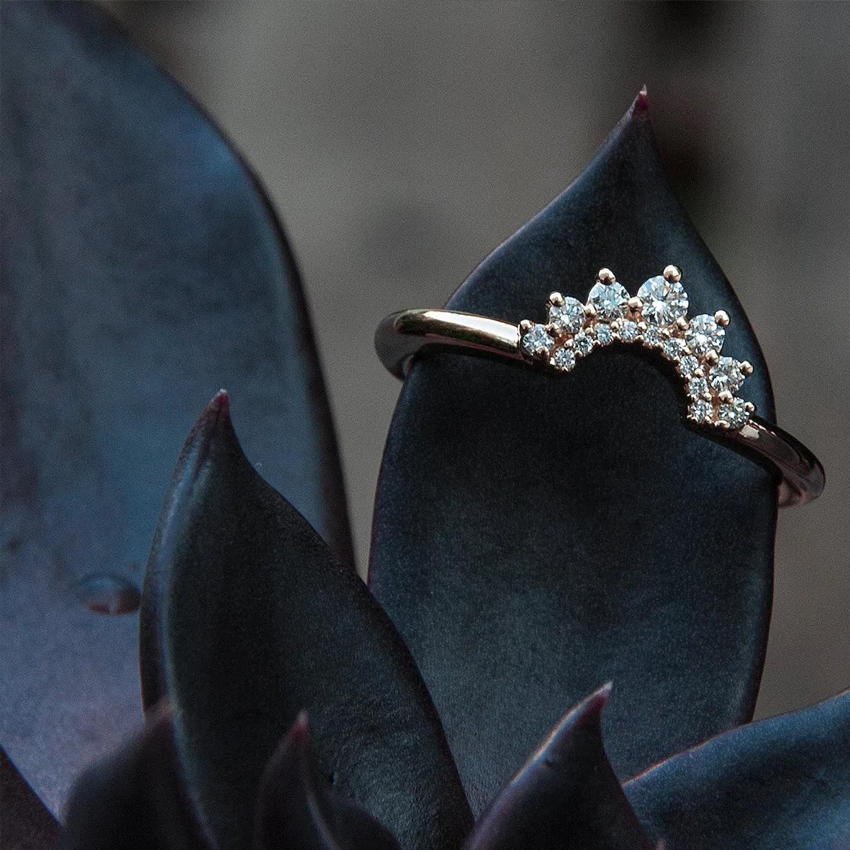 crown contour diamond band